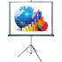 Portable projection screen