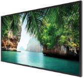 Peerless Outdoor-TV